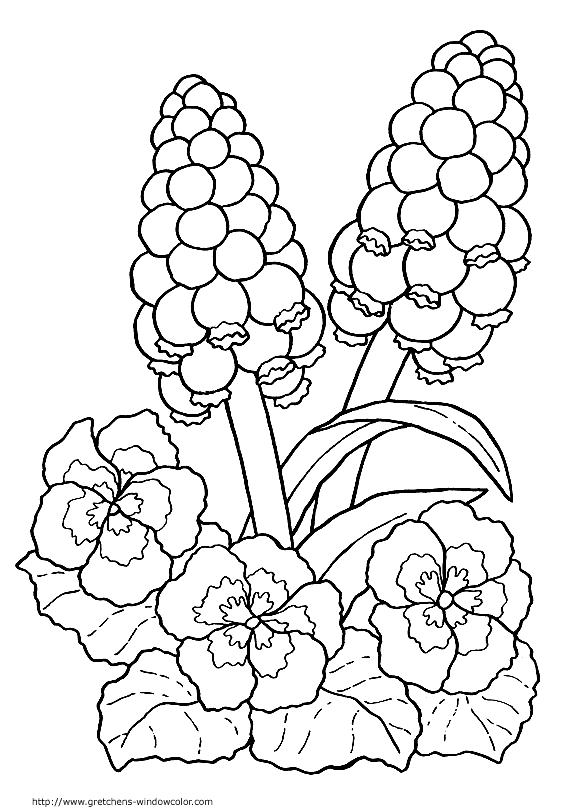 4.gif