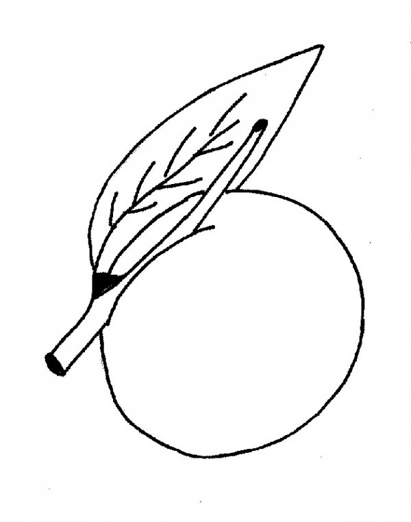 broskve_800_600_jpg.jpg