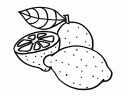 ovoce-4_thumbnail.gif