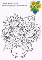 small_db_015900_08Blume1.gif