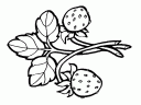 ovoce-3_thumbnail.gif