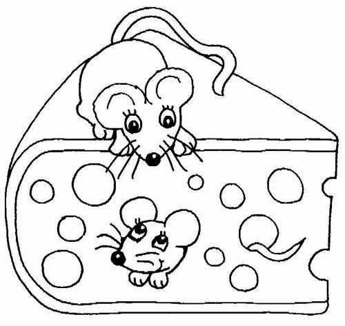 tiere061.jpg