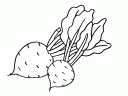 zelenina-6_thumbnail.gif
